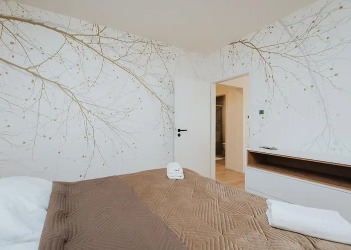 Balin X31 돌니 쿠빈