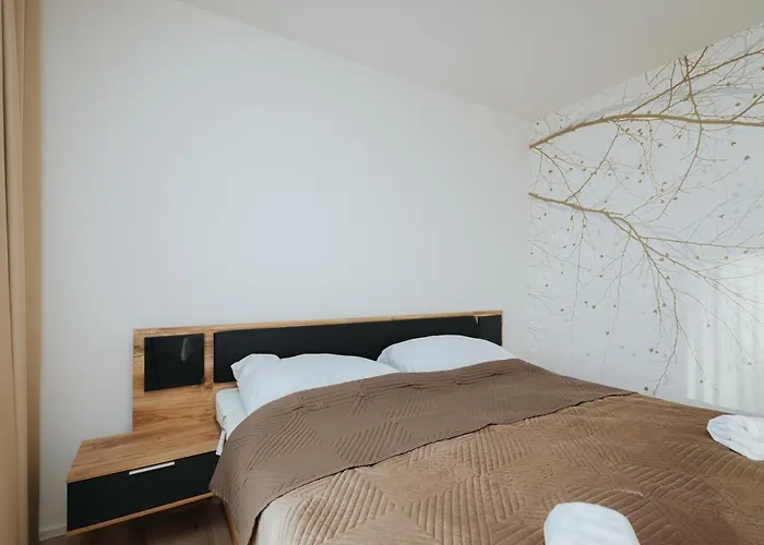 Balin X31 * 돌니 쿠빈