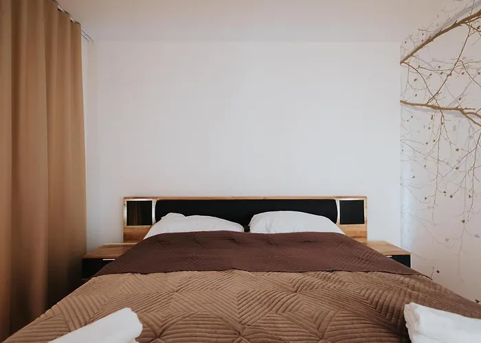 Balin X31 돌니 쿠빈